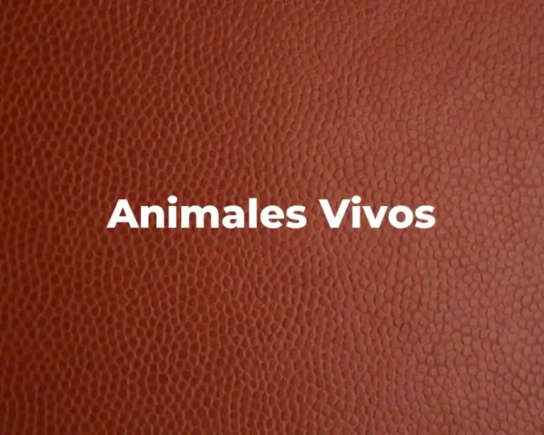 Animales Vivos