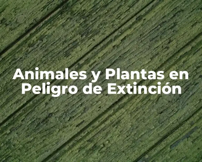 Animales y Plantas en Peligro de Extinción