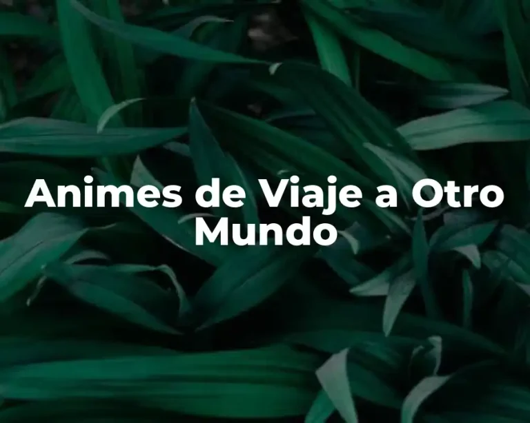 Animes de Viaje a Otro Mundo