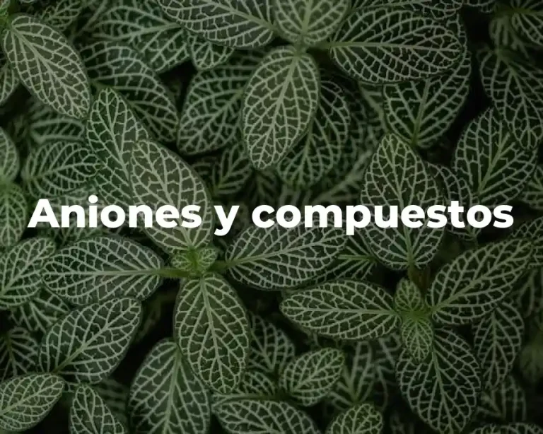 Aniones y compuestos