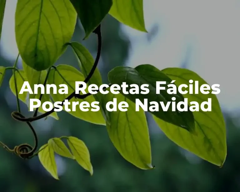 Anna Recetas Fáciles Postres de Navidad