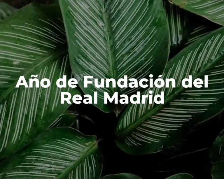 Año de Fundación del Real Madrid