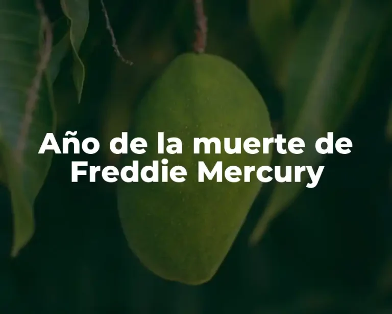 Año de la muerte de Freddie Mercury