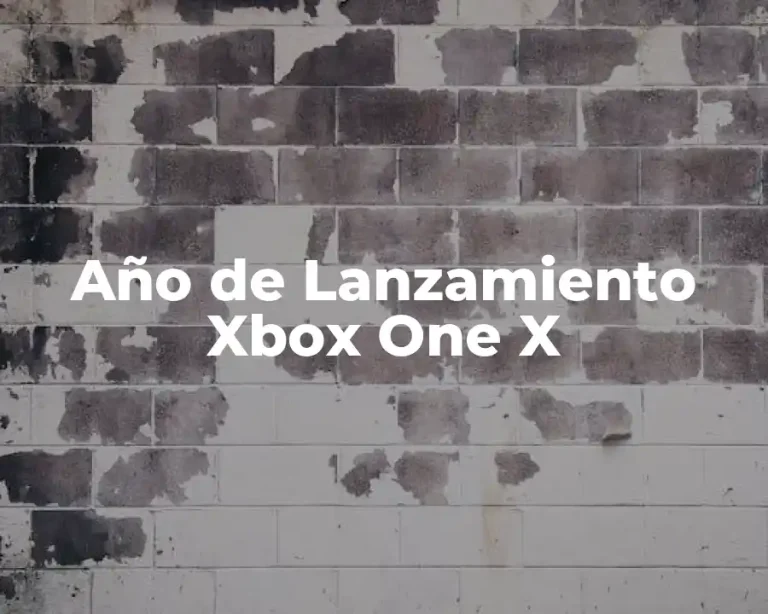 Año de Lanzamiento Xbox One X
