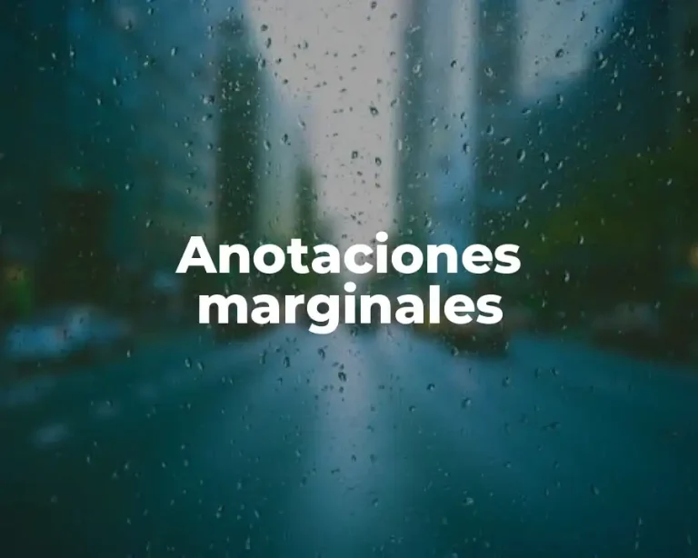 Anotaciones marginales