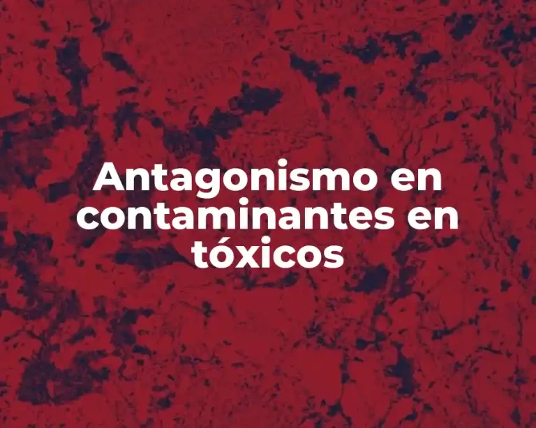 Antagonismo en contaminantes en tóxicos