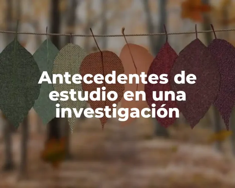 Antecedentes de estudio en una investigación