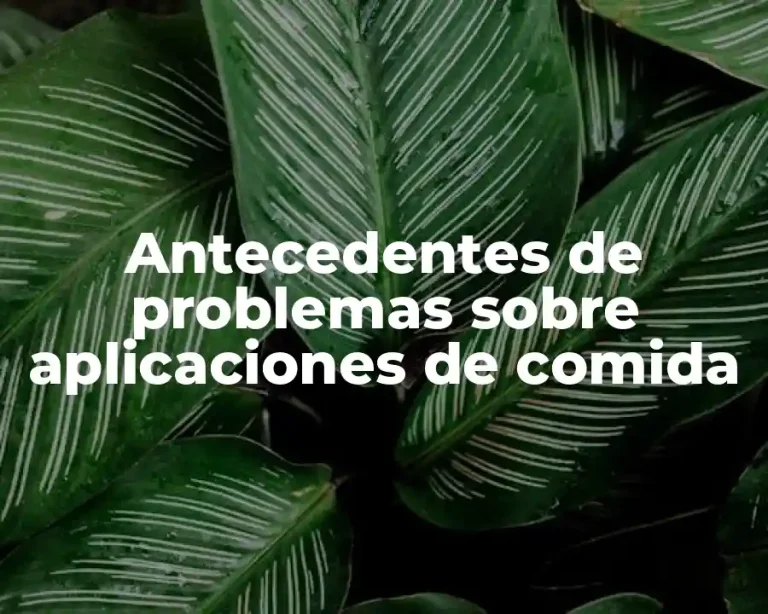 Antecedentes de problemas sobre aplicaciones de comida