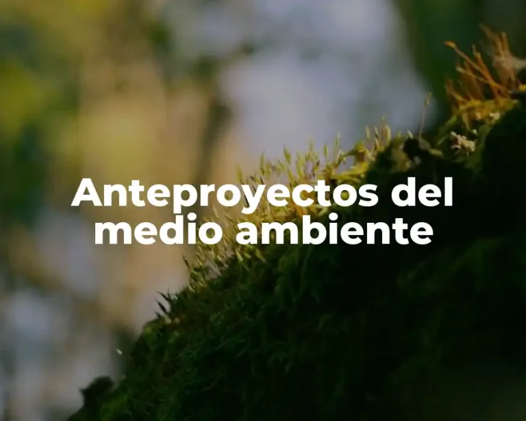 Anteproyectos del medio ambiente