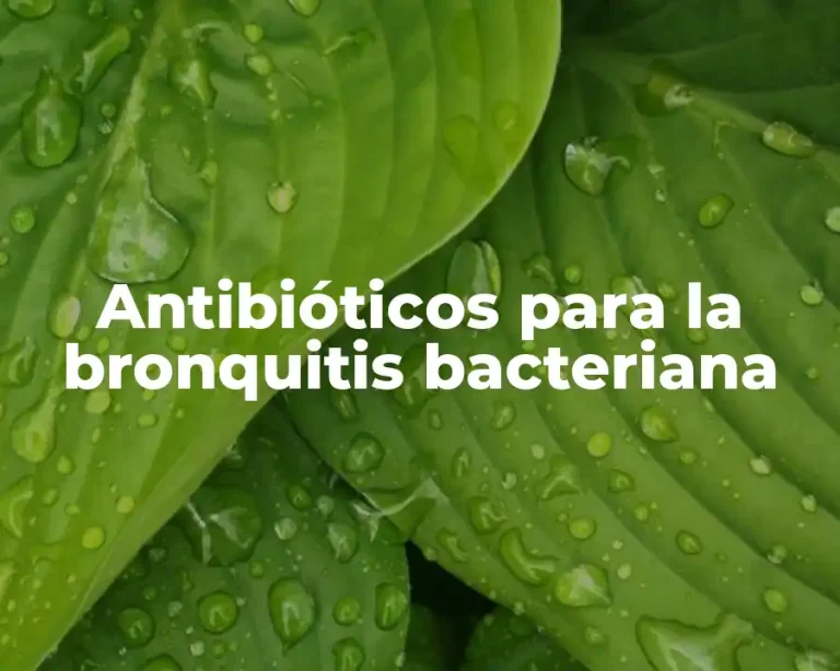 Antibióticos para la bronquitis bacteriana