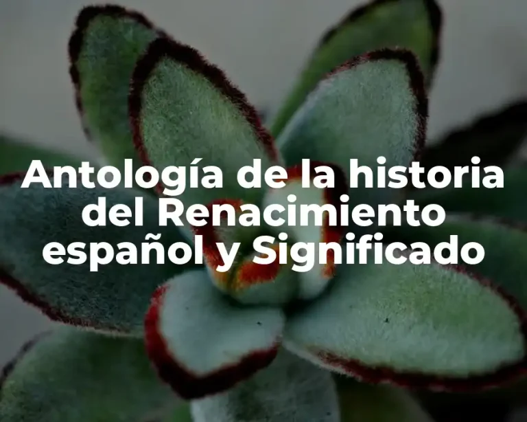 Antología de la historia del Renacimiento español y Significado