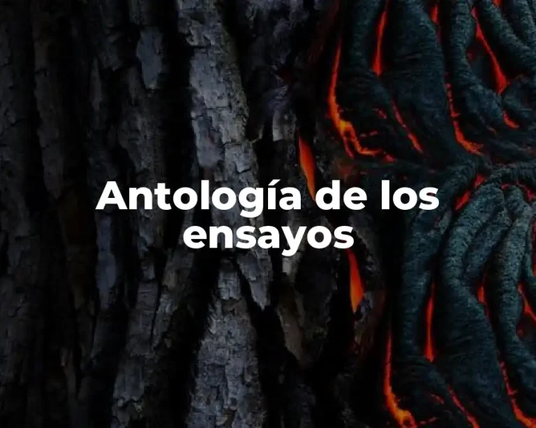 Antología de los ensayos