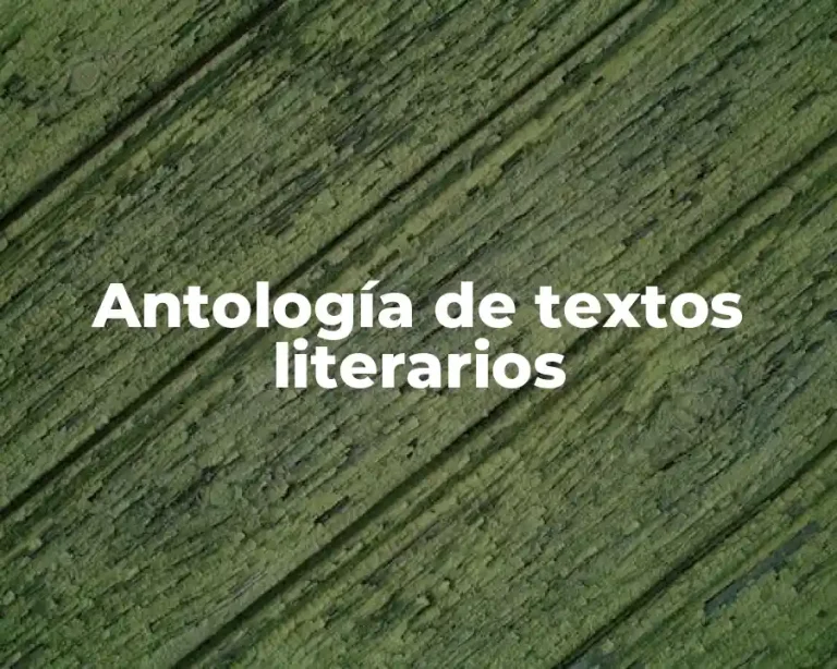 Antología de textos literarios