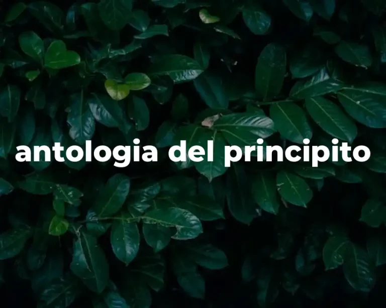 antologia del principito