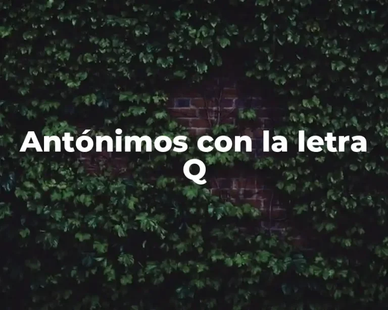 Antónimos con la letra Q