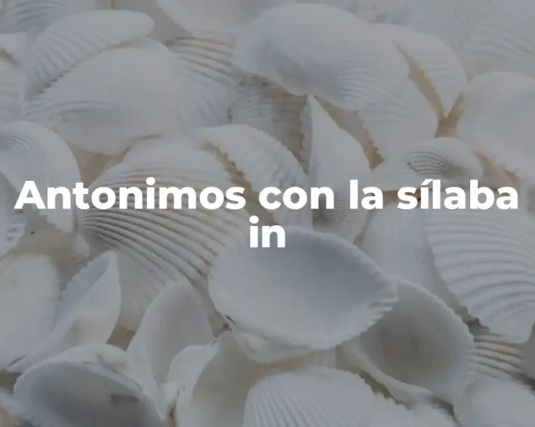 Antonimos con la sílaba in