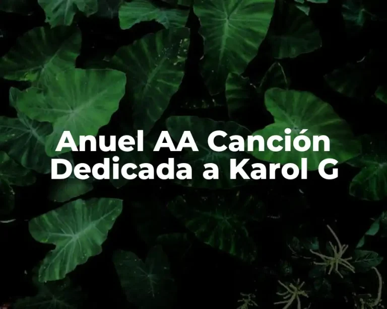 Anuel AA Canción Dedicada a Karol G