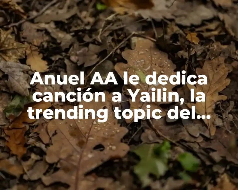 Anuel AA le dedica canción a Yailin, la trending topic del momento