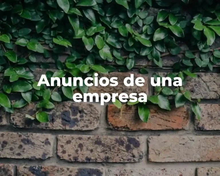Anuncios de una empresa