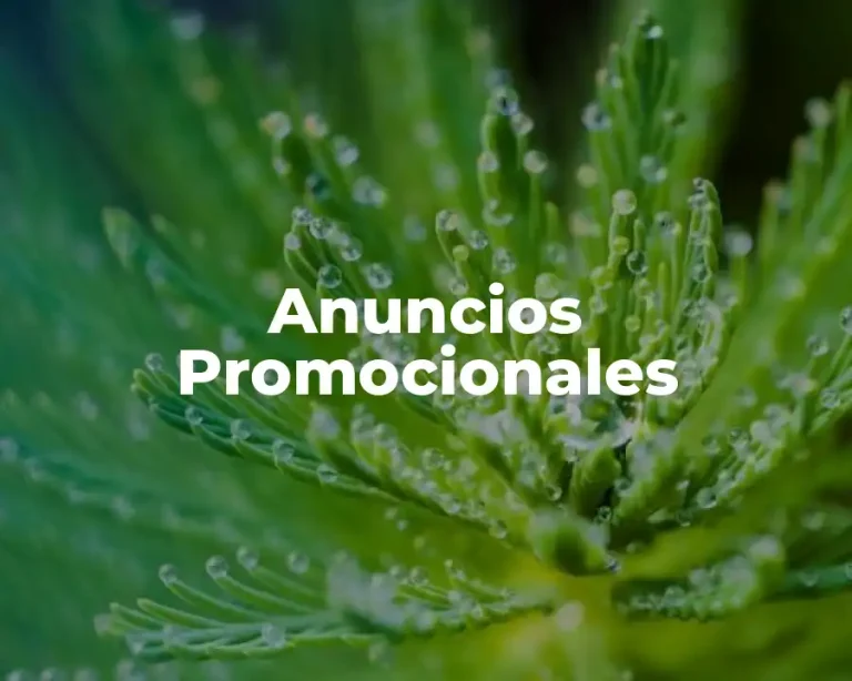 Anuncios Promocionales