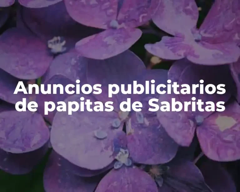 Anuncios publicitarios de papitas de Sabritas