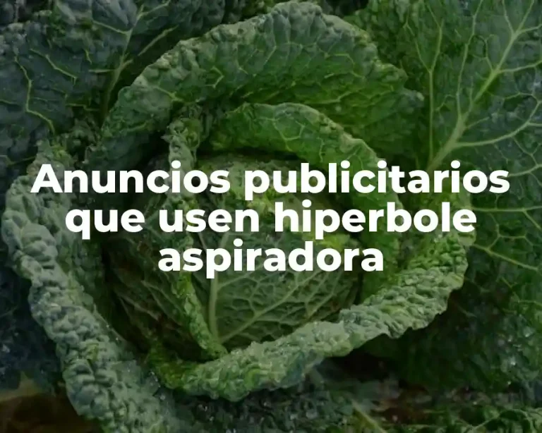 Anuncios publicitarios que usen hiperbole aspiradora