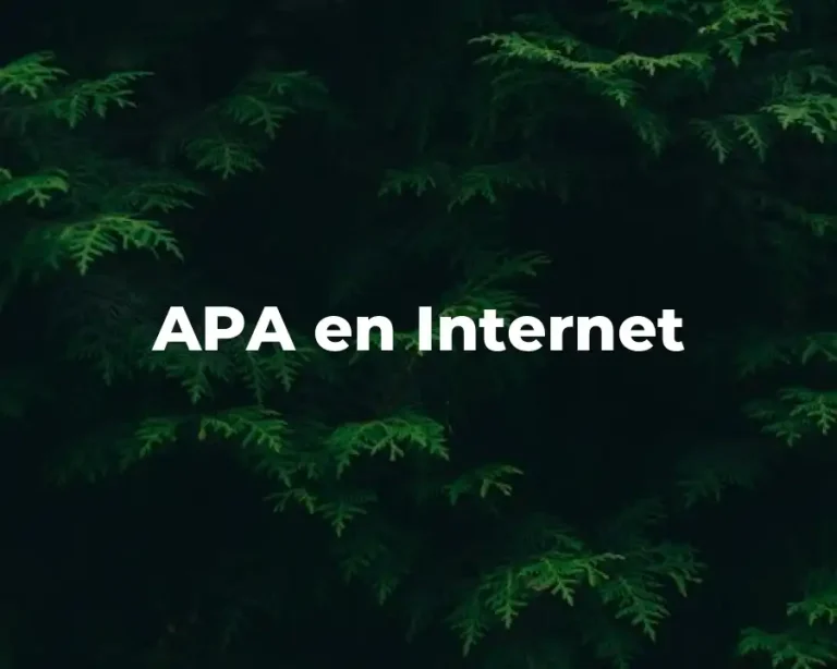 APA en Internet