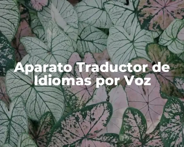 Aparato Traductor de Idiomas por Voz
