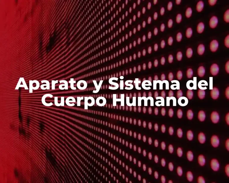 Aparato y Sistema del Cuerpo Humano