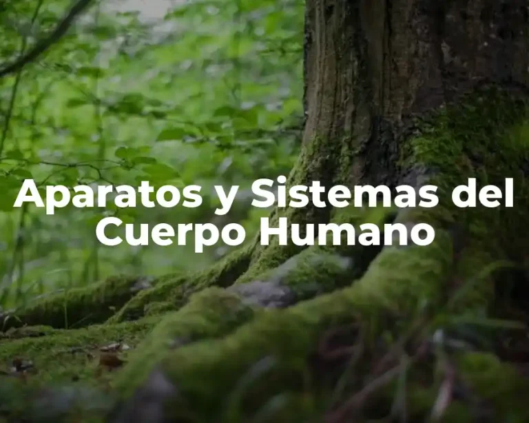 Aparatos y Sistemas del Cuerpo Humano