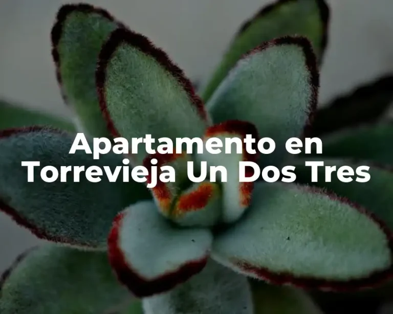 Apartamento en Torrevieja Un Dos Tres