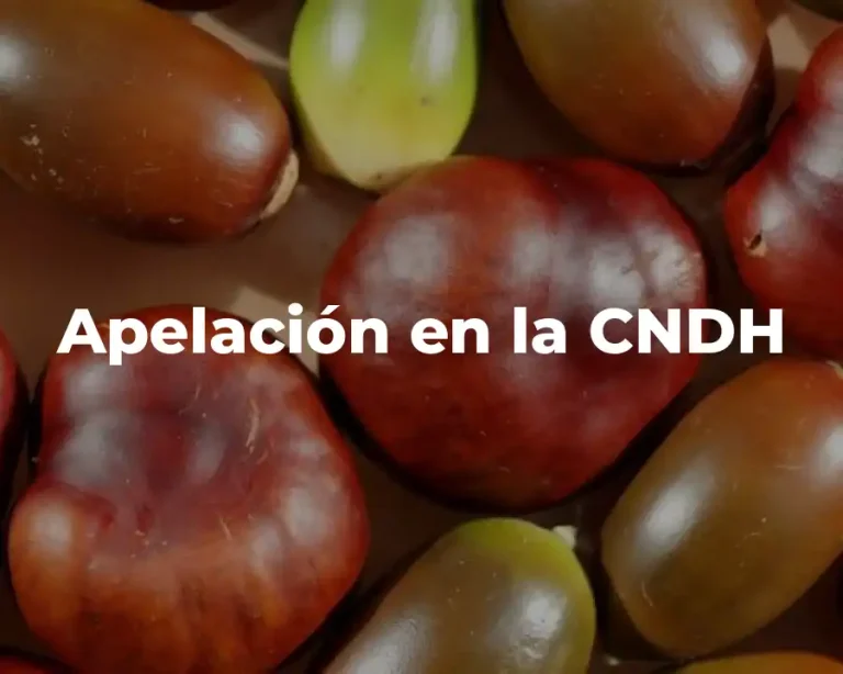 Apelación en la CNDH