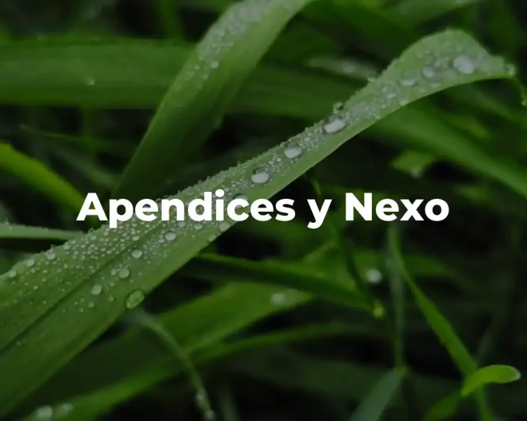 Apendices y Nexo