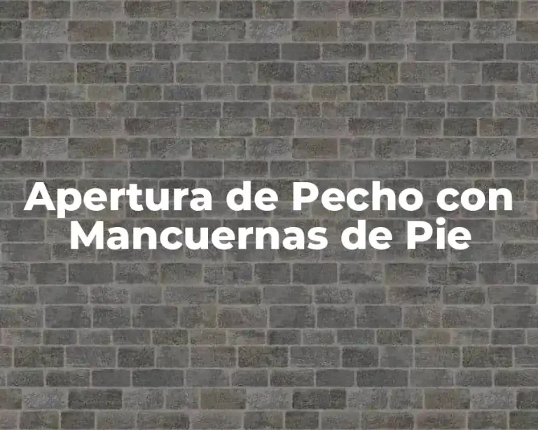 Apertura de Pecho con Mancuernas de Pie