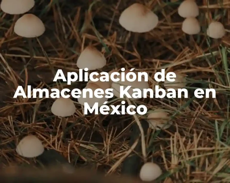 Aplicación de Almacenes Kanban en México