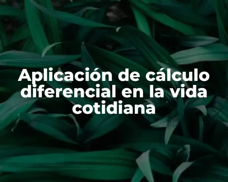 Aplicación de cálculo diferencial en la vida cotidiana