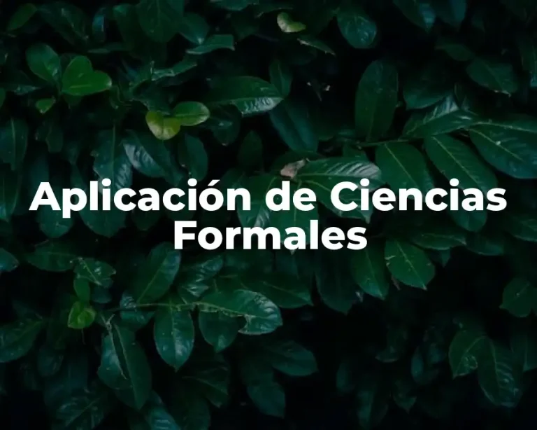 Aplicación de Ciencias Formales