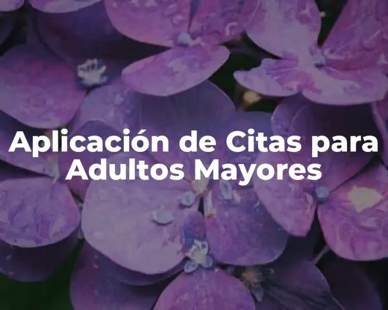 Aplicación de Citas para Adultos Mayores