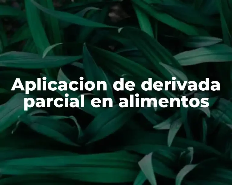 Aplicacion de derivada parcial en alimentos