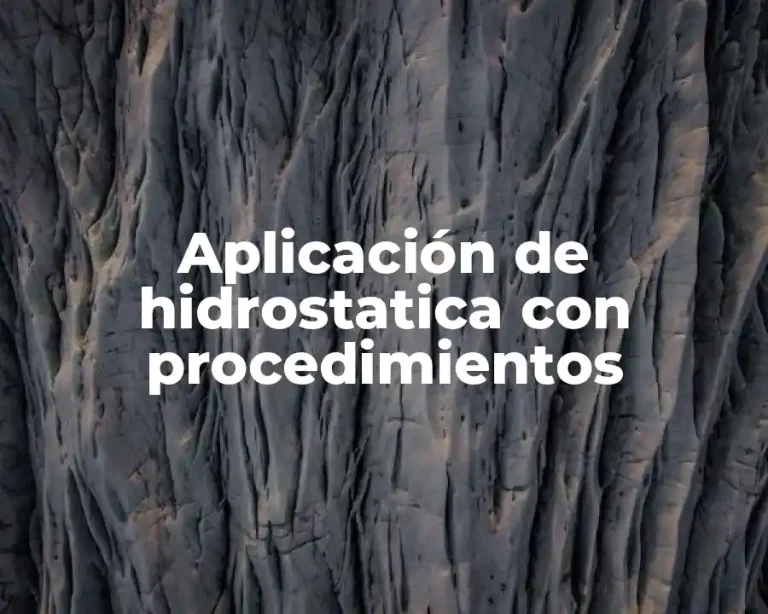 Aplicación de hidrostatica con procedimientos