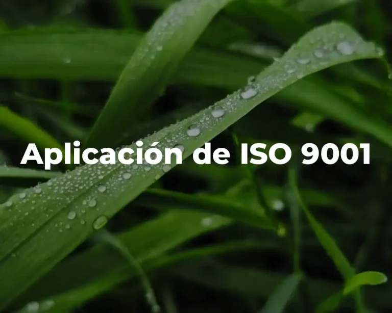Aplicación de ISO 9001