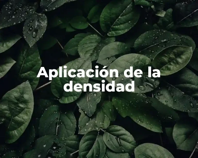 Aplicación de la densidad