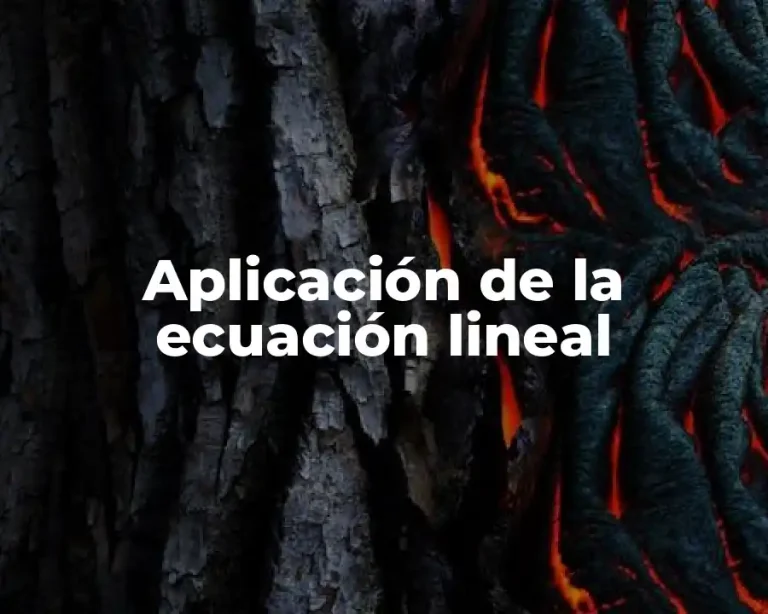 Aplicación de la ecuación lineal