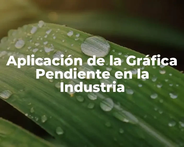 Aplicación de la Gráfica Pendiente en la Industria