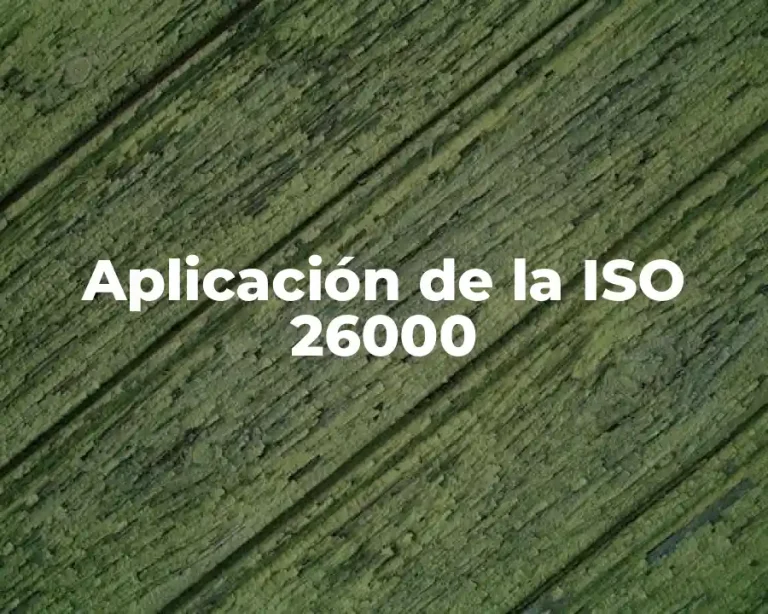 Aplicación de la ISO 26000