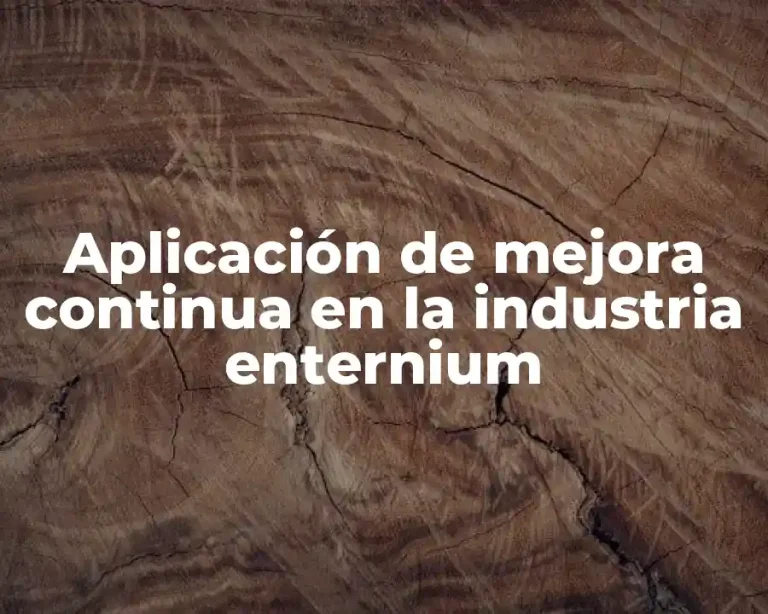 Aplicación de mejora continua en la industria enternium