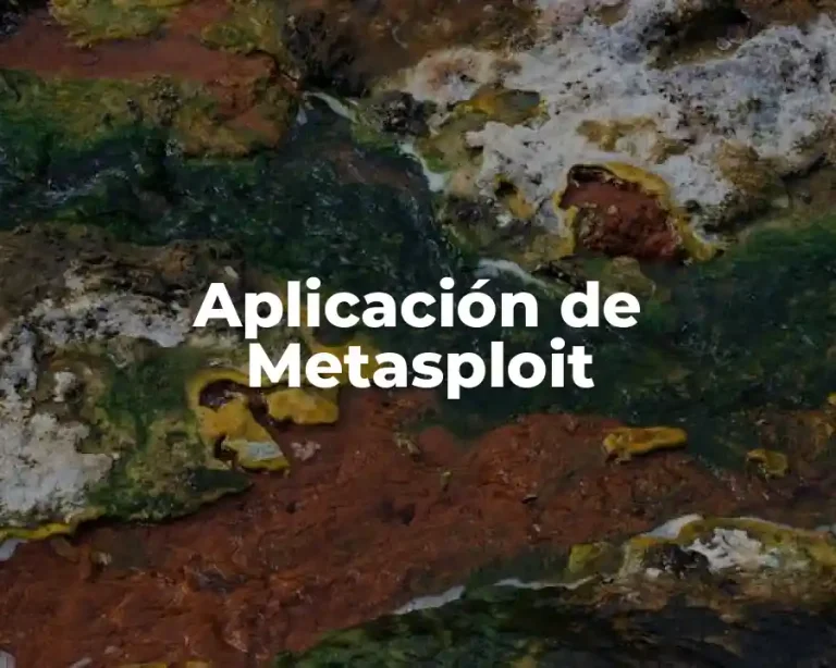 Aplicación de Metasploit
