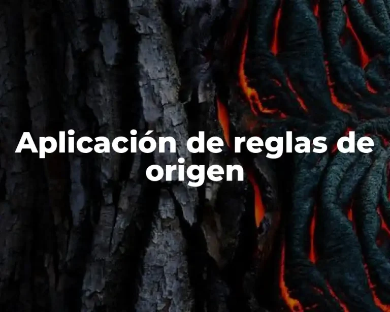 Aplicación de reglas de origen