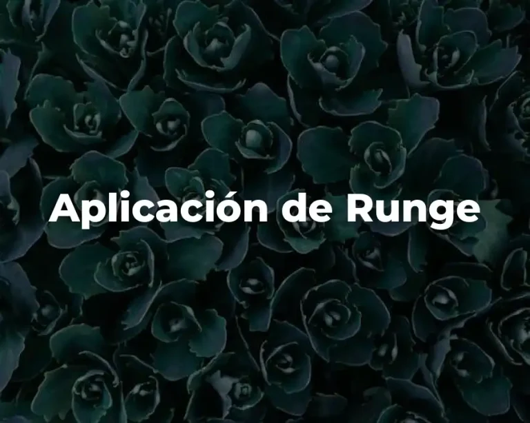 Aplicación de Runge