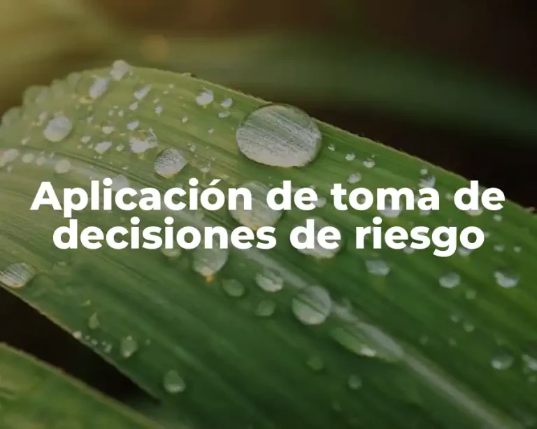 Aplicación de toma de decisiones de riesgo